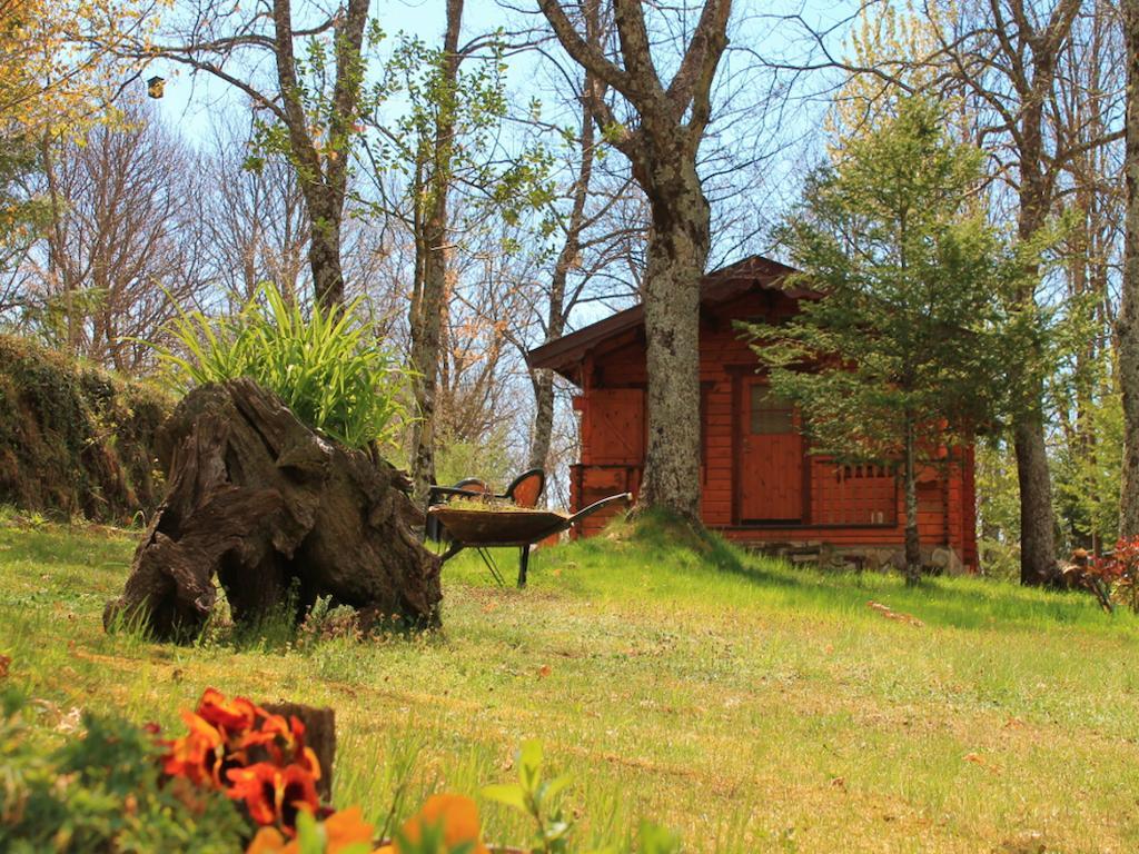 Cabañas de Madera Sanabria Hostal Vigo de Sanabria Exterior foto